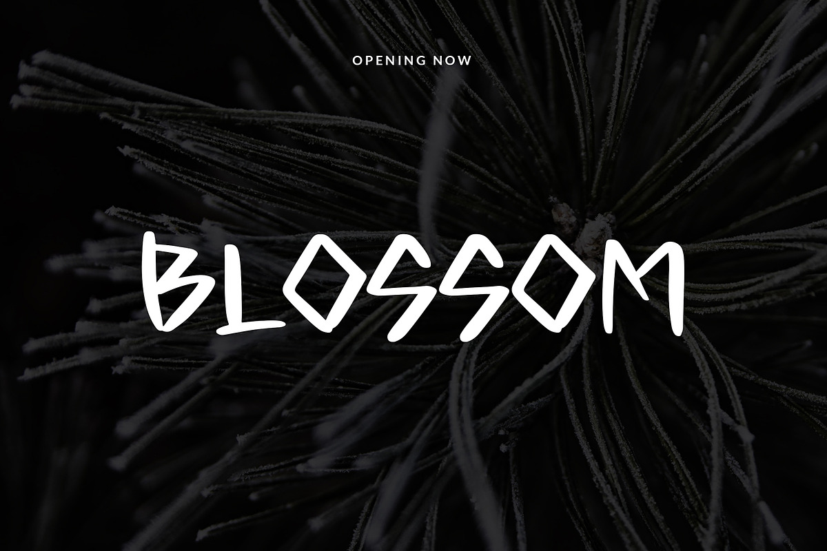 Bocast Japan Style Display Font, a Sans Serif Font by Giant Design (Photo 6 of 10)