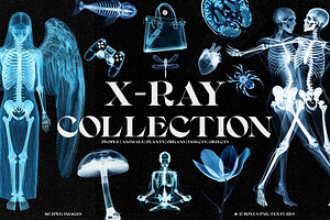 X-Ray Images Collection, a Background Graphic by Freezerondigital