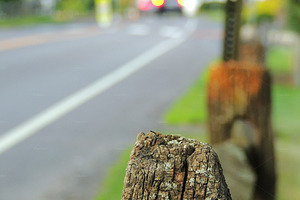 Weathered Wooden Fence, a Holiday Photo by OksanaAn