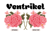 VENTRIKEL - ExtraBold Display Font, a Sans Serif Font by Artflorara (Thumbnail 2 of 19)