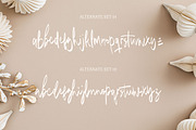 Sabesira - Signature Brush, a Handwritten Font by tebaltipislab (Thumbnail 3 of 11)