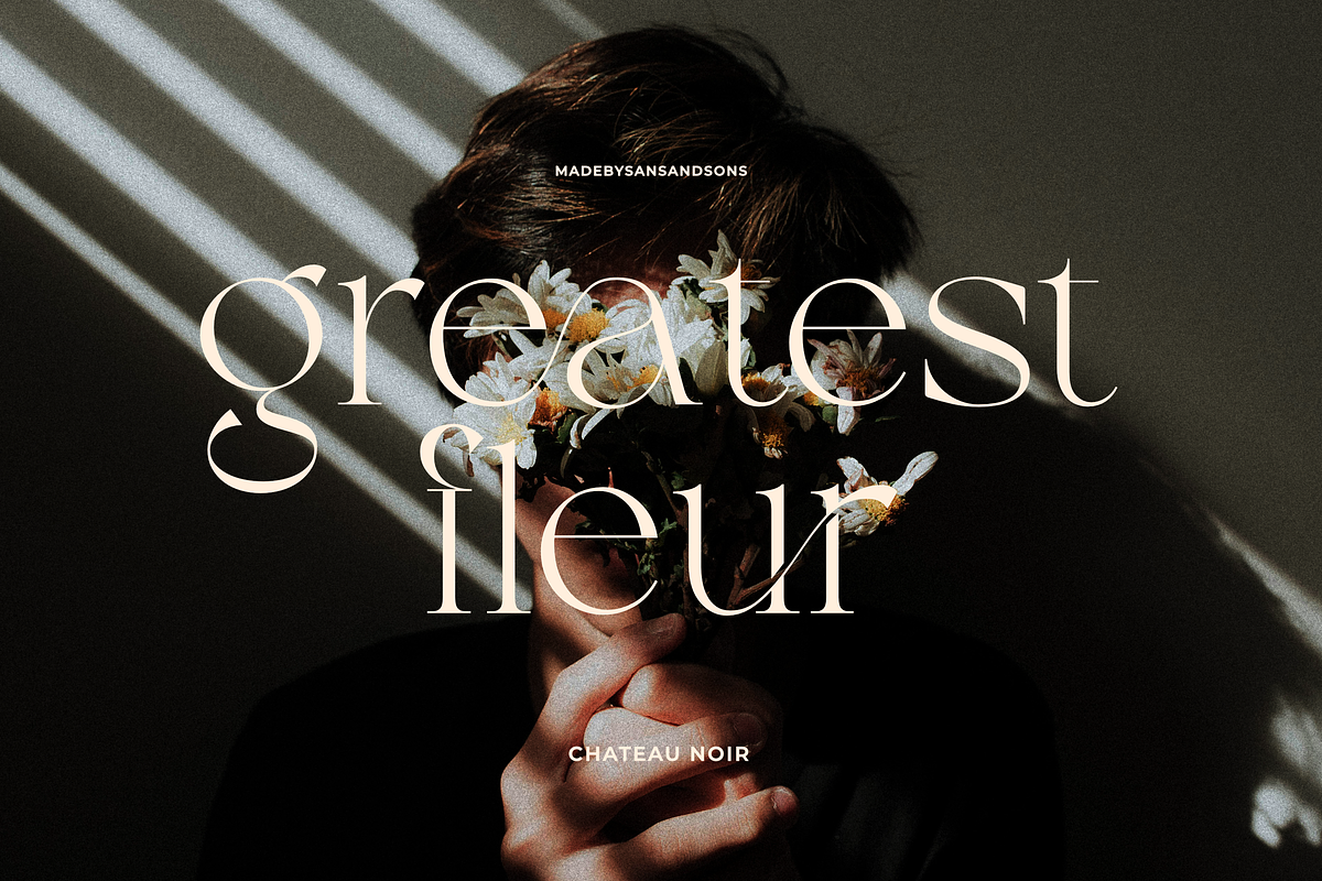 SNS - Chateu Noir, a Serif Font by Sans & Sons (Photo 9 of 9)