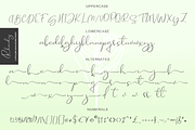 Rhonely, a Script Font by Larin Type Co. (Thumbnail 10 of 10)