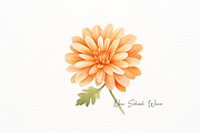 Orange Flower and Leaf Watercolor, a Decorative Illustration by New-School-Wave (Thumbnail 4 of 5)