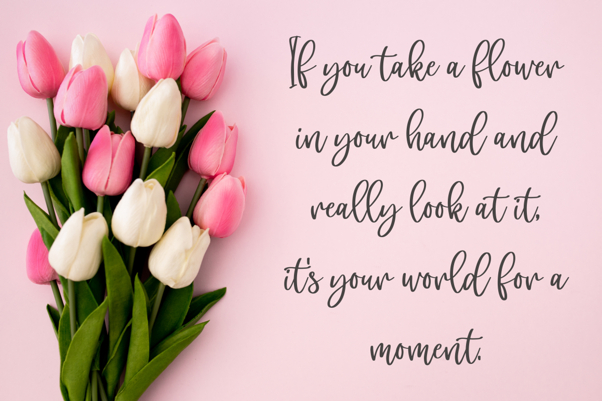 pebby, a Script Font by N (Photo 6 of 6)
