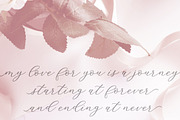 Ladies Style, a Script Font by balstudio (Thumbnail 5 of 8)