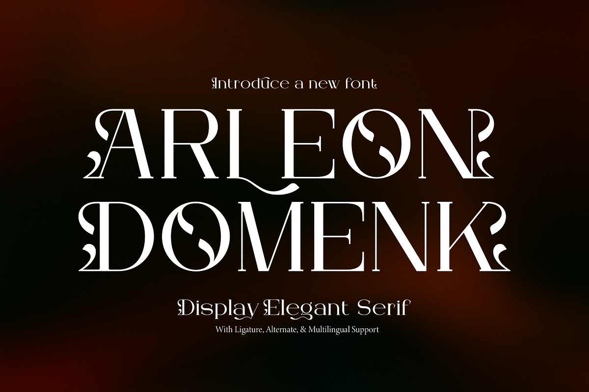 Arleon Domenk Display Elegant Serif, a Serif Font by Denustudios (Photo 1 of 15)