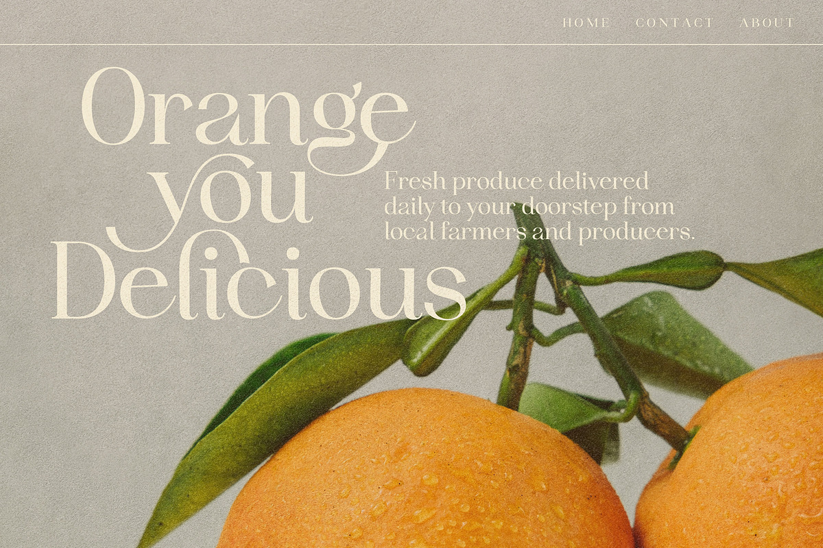 Idealist Serif, a Serif Font by Nicky Laatz (Photo 22 of 34)