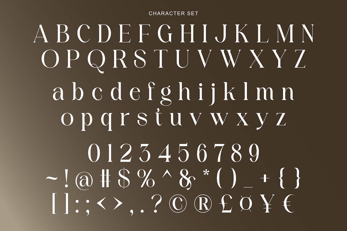 Argeta - Modern Luxury Logo Font, a Serif Font by Sealoung (Photo 11 of 11)