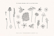 Wild Honey Vector Illustrations, a Decorative Illustration by rouxsupplyco (Thumbnail 4 of 14)