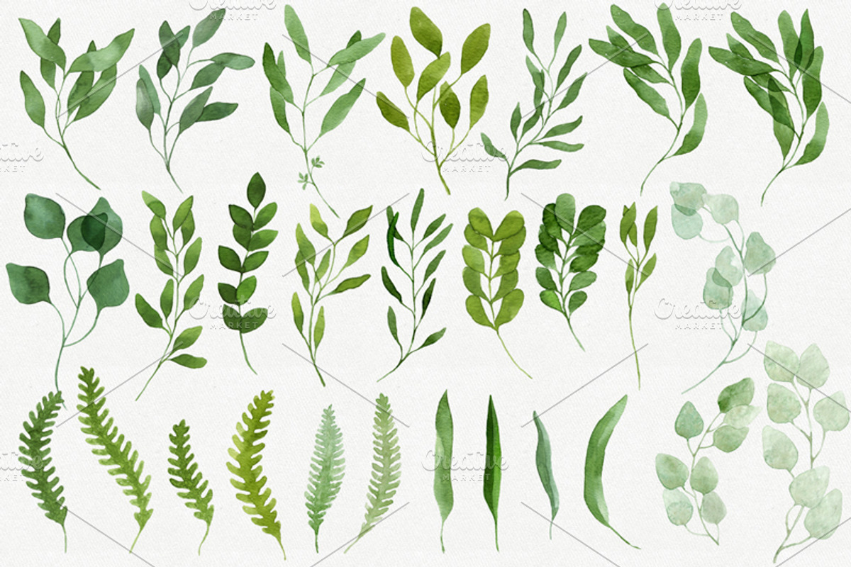 28 Watercolor Branches and Leaves, an Illustration by Helga Wigandt (Photo 2 of 3)