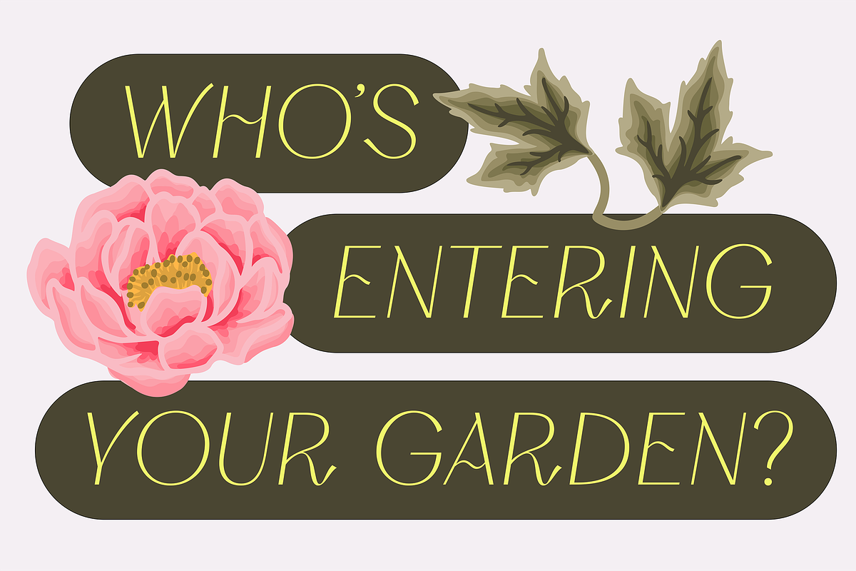Silkrose - Delicate Display Font, a Sans Serif Font by Artflorara (Photo 6 of 14)