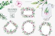 Birds in Bloom Watercolor Floral set, an Animal Illustration by SashaKondr (Thumbnail 15 of 17)