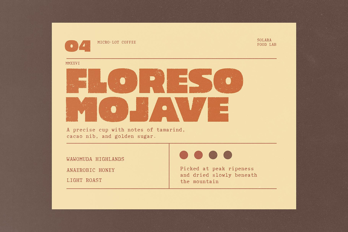 Philman; 4 Styles Vintage Fonts, a Sans Serif Font by Eko Bimantara (Photo 5 of 12)