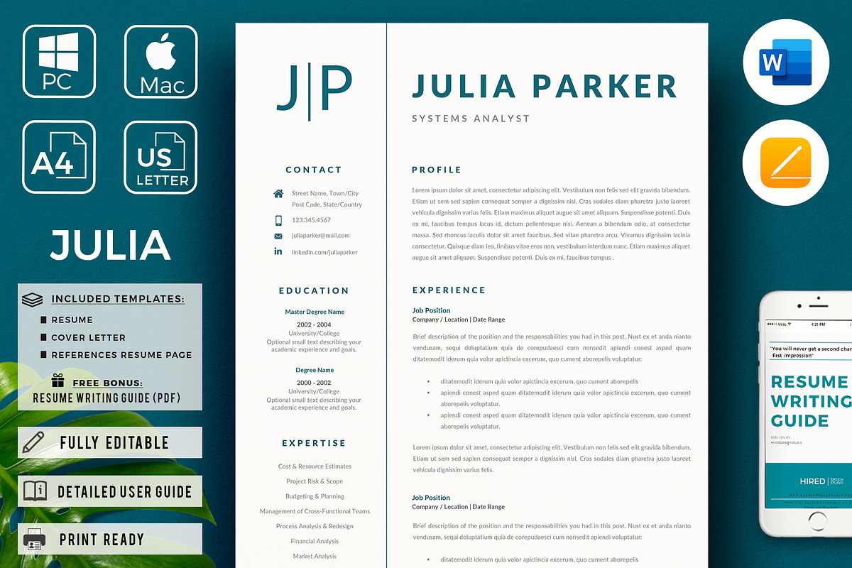 Systems Analyst Professional Resume