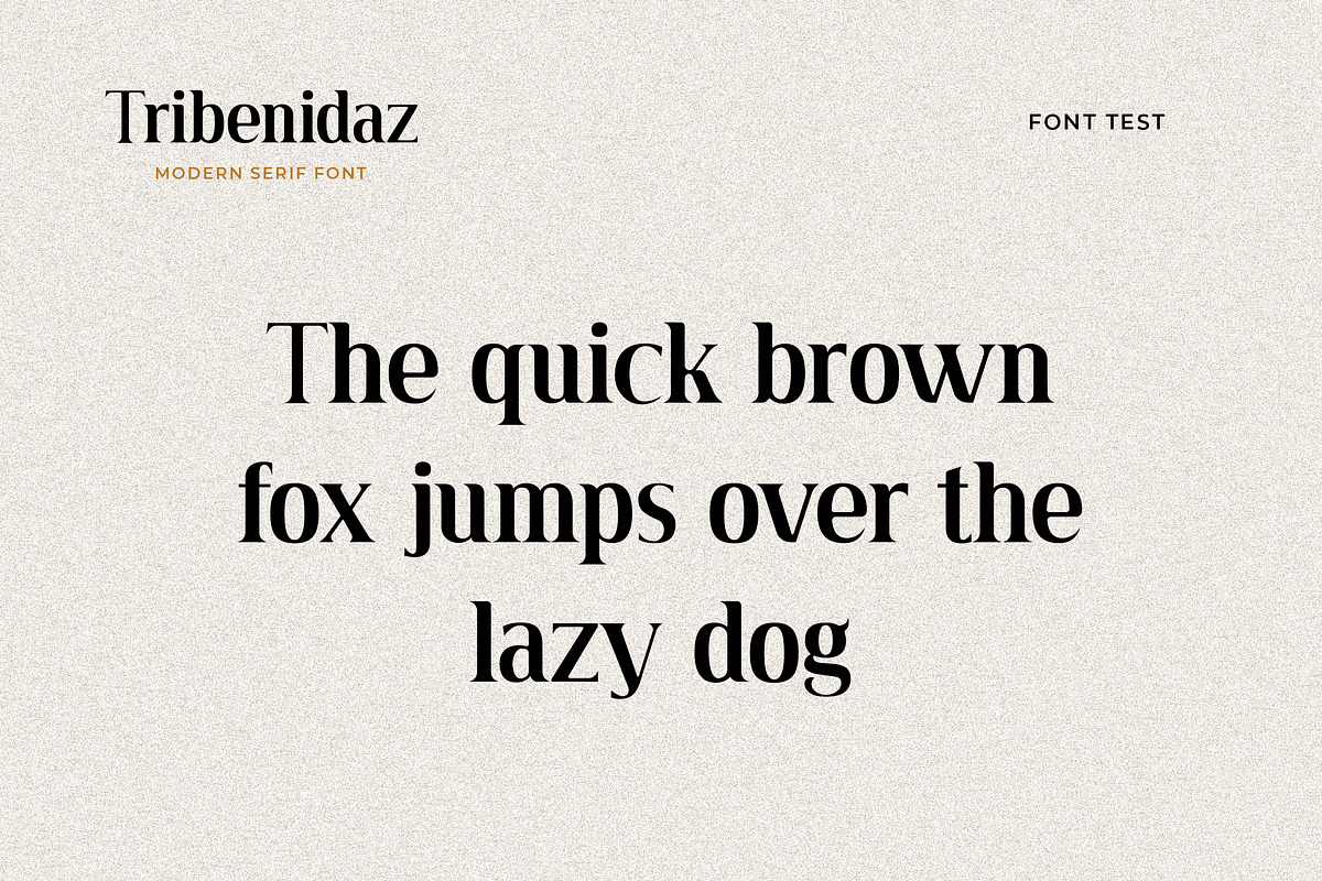 Tribenidaz Serif Display Font, a Serif Font by UICreative (Photo 4 of 4)
