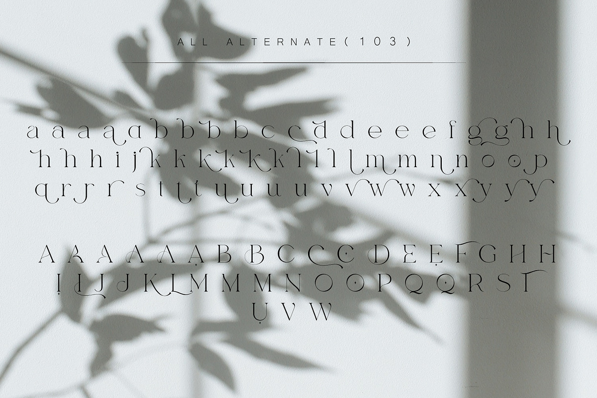 Basgem – Modern Serif Typeface, a Serif Font by Issam Type (Photo 17 of 18)
