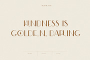 Modern Ligature Sans Serif Font, a Sans Serif Font by Laras Wonderland (Thumbnail 8 of 17)