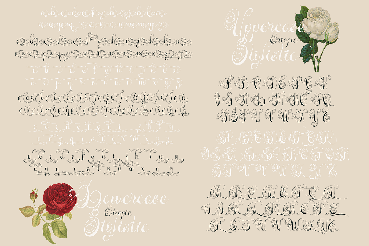 Etiopia Script, a Script Font by TypeClassHeroes (Photo 7 of 10)