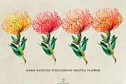 Watercolor Pincushion Flower, a Decorative Illustration by Karliefie (Thumbnail 2 of 4)
