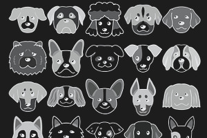 Cartoon Dog Head/Faces Set 1