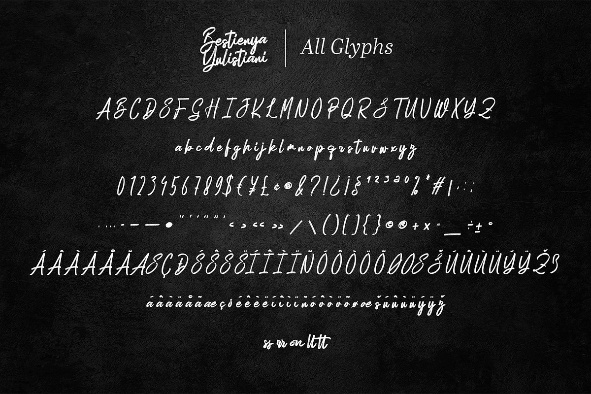 Bestienya Yulistiani - Brush Script, a Script Font by Variatype (Photo 7 of 8)