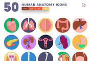 50 Human Anatomy Icons, an Icon by Dighital (Thumbnail 3 of 10)