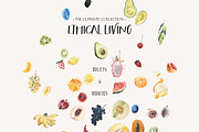 ETHICAL LIVING vegan & eco lifestyle, a Healthcare Illustration by Lana Elanor (Thumbnail 10 of 28)