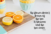 Orange Grove Script, a Script Font by Beck McCormick (Thumbnail 3 of 4)