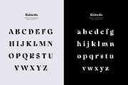 Rainesta Font, a Serif Font by Digitype Studio (Thumbnail 9 of 10)