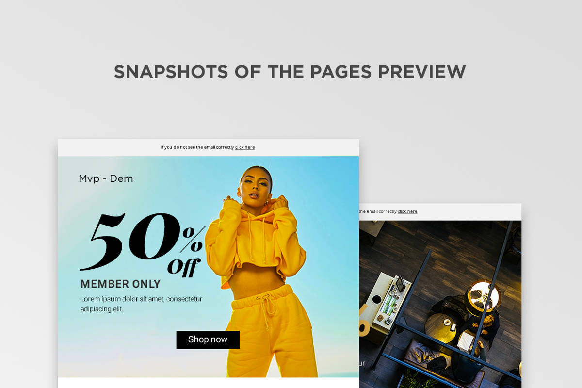 MVP-Newsletter/Dem, an Email Template by MVP Factory (Photo 5 of 5)