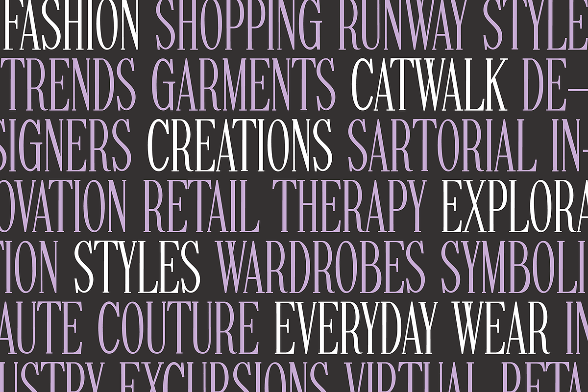 FASHIONABLE Tall Condensed Serif, a Serif Font by Blush Font Co. (Photo 3 of 5)