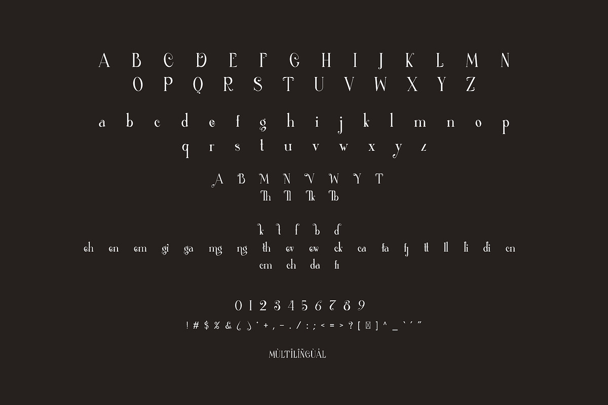 Thefang ligature serif typeface, a Serif Font by yaqublekker (Photo 7 of 7)