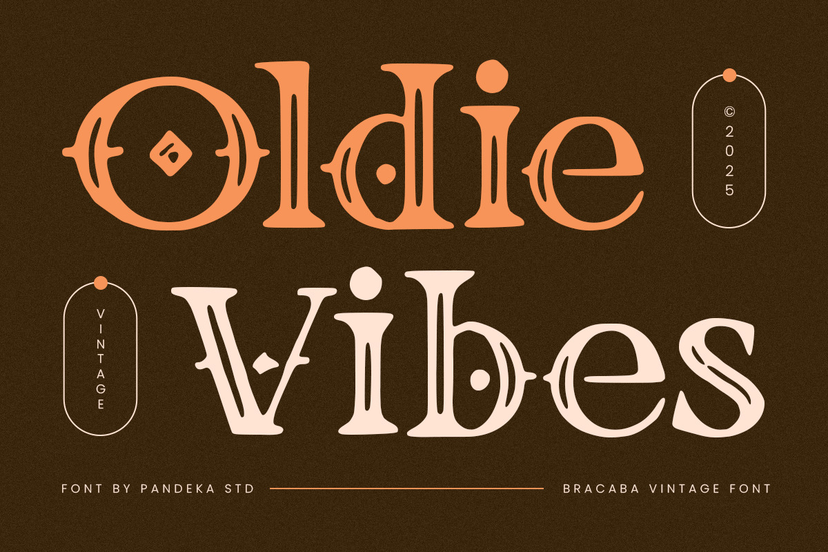 Bracaba - Vintage Decorative Font, a Serif Font by Pandeka Studio (Photo 3 of 9)