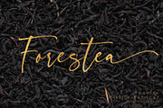 Forestea - Classy Script, a Script Font by BrandSemut (Thumbnail 14 of 14)
