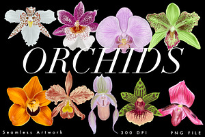 ORCHIDS SEAMLESS.