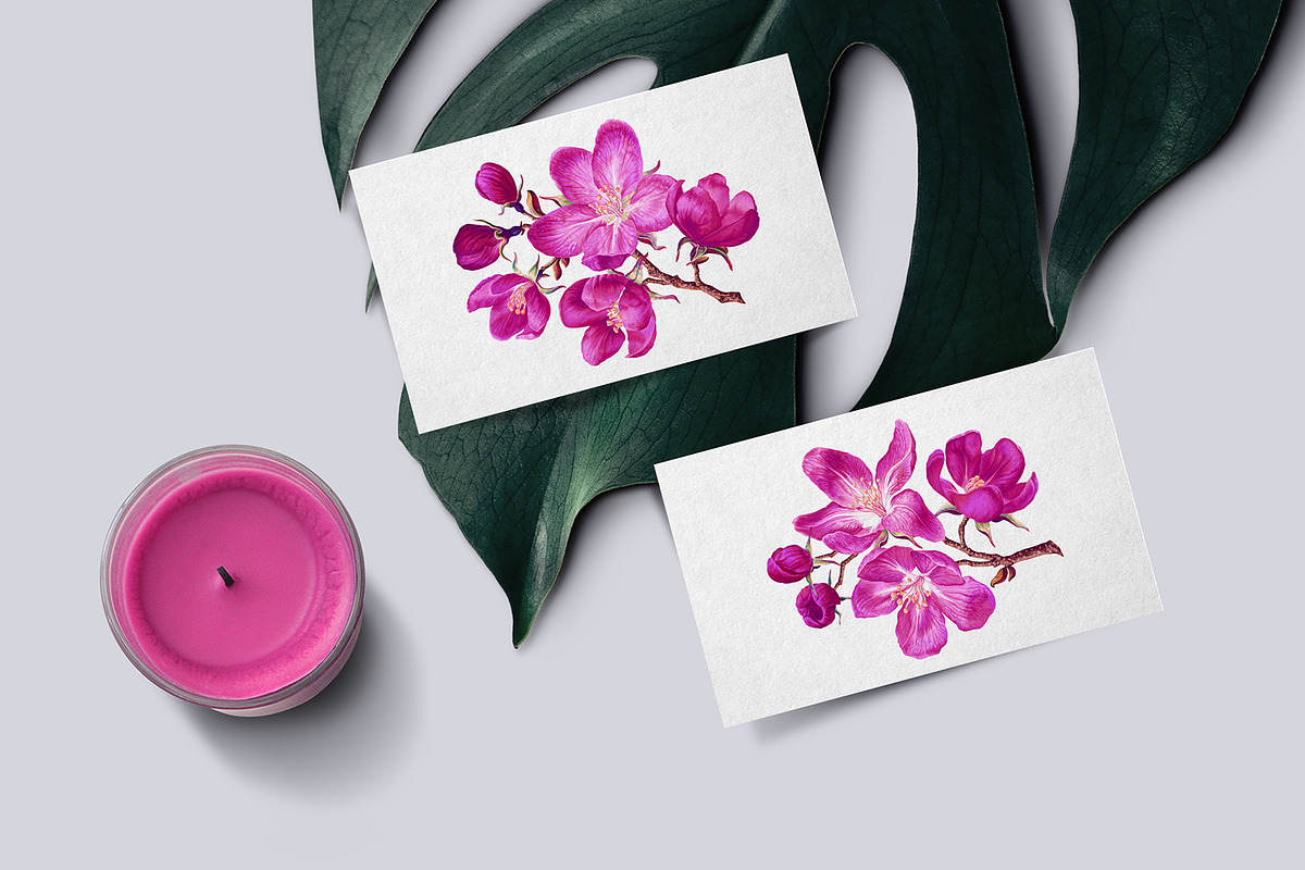 4 Apple Tree Flower Branches, an Illustration by MarynaPetrovska (Photo 8 of 14)