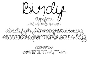Font Birdy Cursive Script Fun Cute
