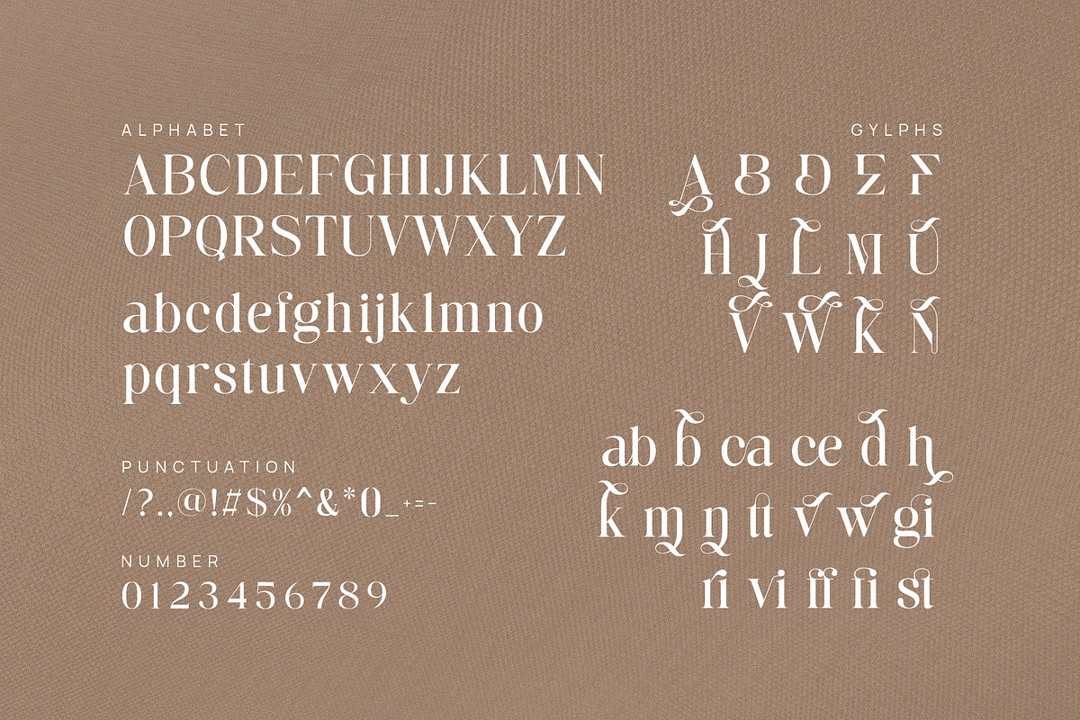 Bamine - Elegant & Stylish Serif, a Serif Font by TypeLogue (Photo 5 of 5)