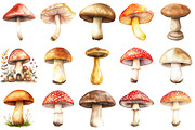 Watercolor Mushrooms Clipart Bundle, an Illustration by Pixels.Craft (Thumbnail 4 of 4)