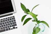 SIMPLE FRESH PHONE MOCKUPS, a Product Mockup by Mesmerizing Designs (Thumbnail 2 of 6)