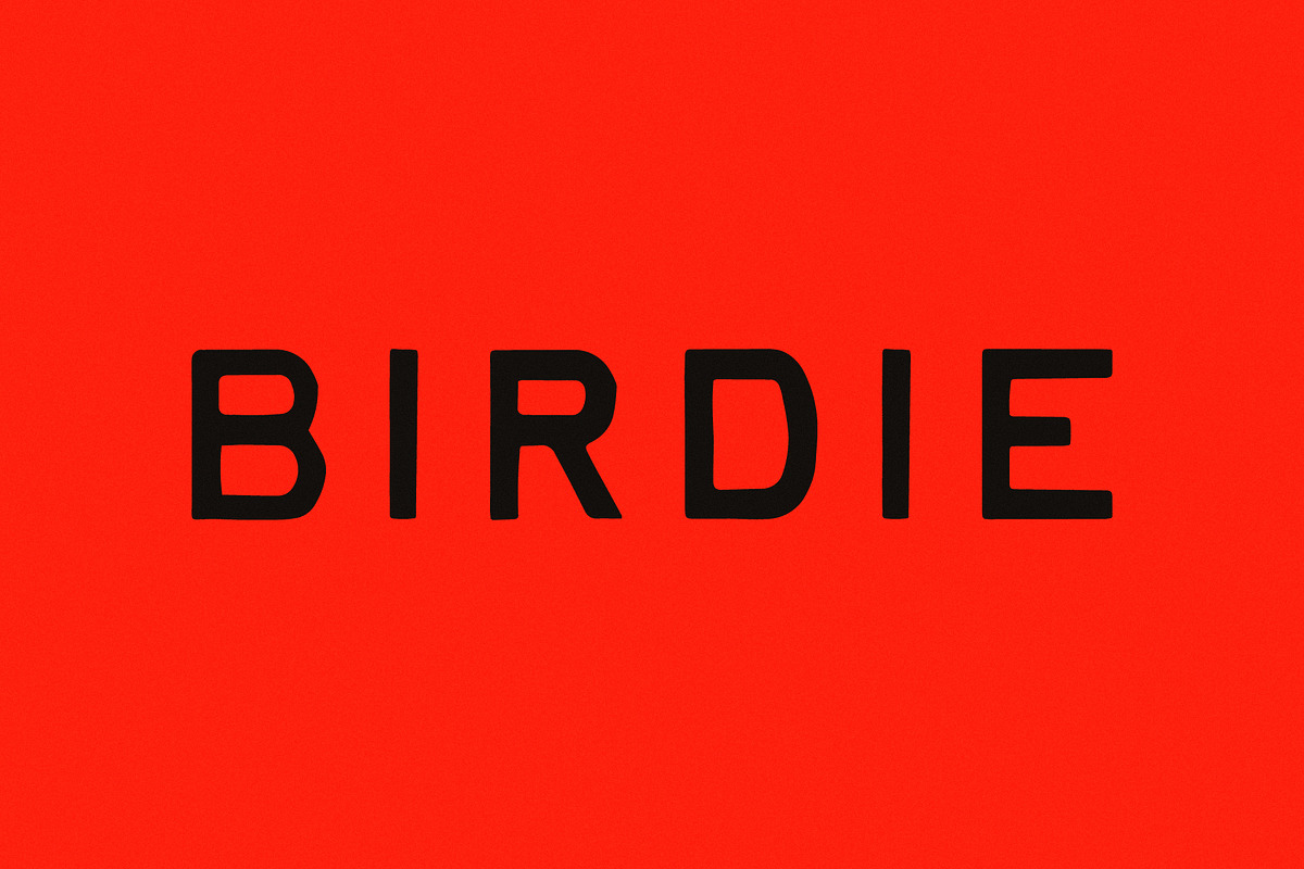 Birdie | Vintage Print Font, a Handwritten Font by Taylor Penton (Photo 1 of 6)