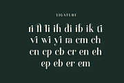 Quning - Elegant Serif Font, a Serif Font by Luna Shop (Thumbnail 5 of 9)