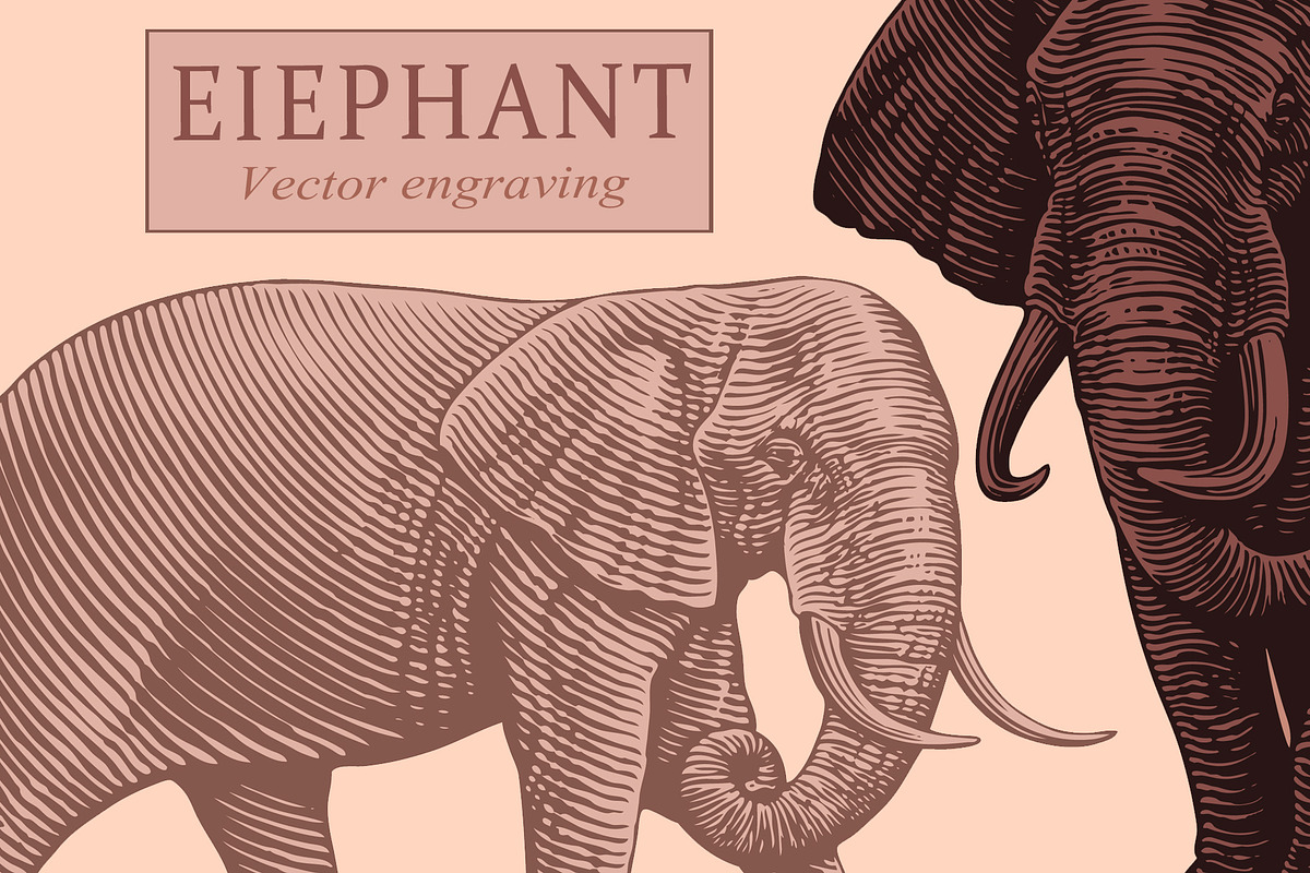 Design set Elephant.Vector engraving, an Animal Illustration by Vector Engraving (Photo 1 of 2)