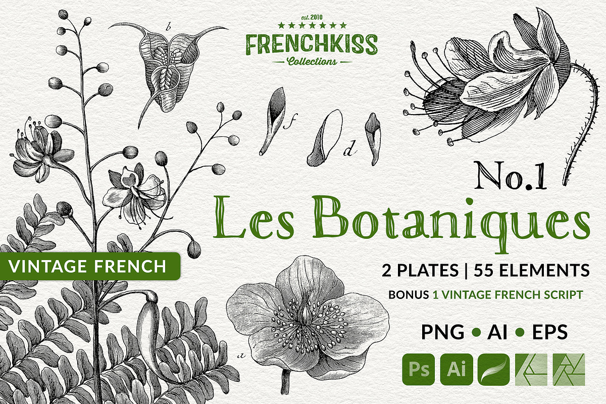 Les Botaniques No 1, a Decorative Illustration by French Kiss Collections (Photo 1 of 6)