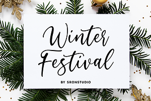 Winter Festival - Calligraphy Font