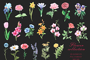 Blooming flowers watercolor clipart., an Illustration by SabinaWatercolorArt (Thumbnail 3 of 8)