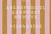 Riviera Du Soleil Font Duo, a Script Font by ana & yvy (Thumbnail 16 of 17)
