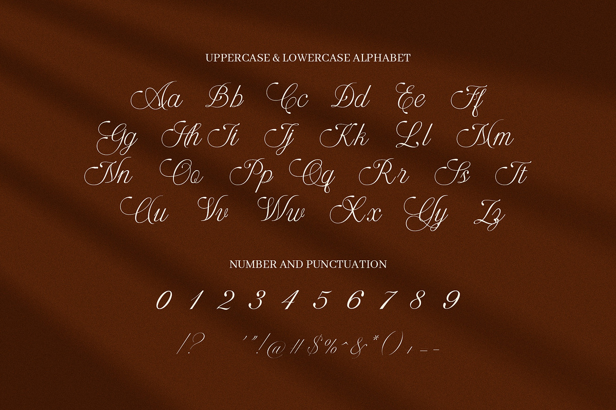 Amerys Wedding Script Font, a Script Font by Elegant Font (Photo 9 of 9)