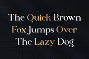 Marietta - Business Font, a Serif Font by RockboyStd (Thumbnail 8 of 12)